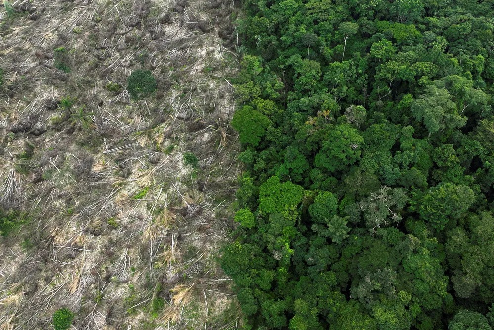Área sob alerta de desmatamento na Amazônia cai pela metade e sobe 43% no Cerrado em 2023, aponta Inpe Área sob alerta de desmatamento na Amazônia cai pela metade e sobe 43% no Cerrado em 2023, aponta Inpe