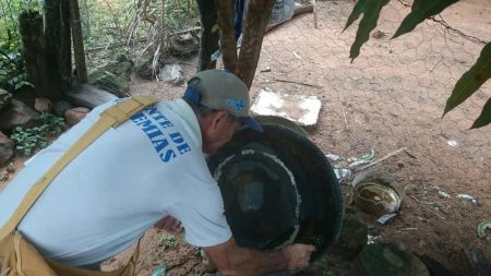 Infestação pelo mosquito Aedes aegypti aumenta 20% em Aracaju