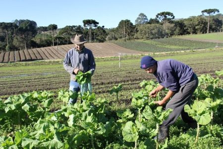 Agricultores familiares de Sergipe contratam R$ 688,3 milhões no Pronaf na safra 2023/2024