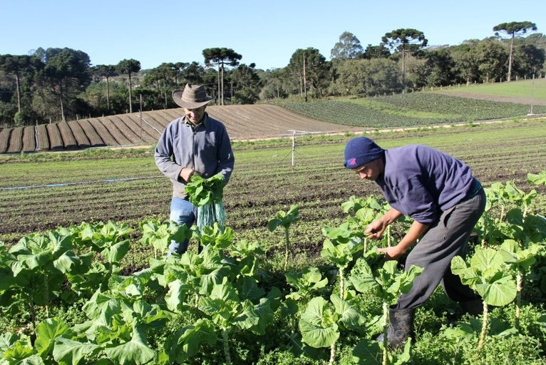 Agricultores familiares de Sergipe contratam R$ 688,3 milhões no Pronaf na safra 2023/2024 Agricultores familiares de Sergipe contratam R$ 688,3 milhões no Pronaf na safra 2023/2024