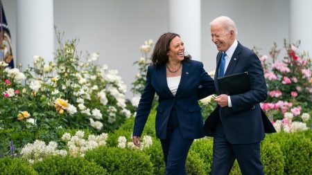 Biden desiste da reeleição e Kamala Harris surge como principal candidata democrata; confira os outros nomes