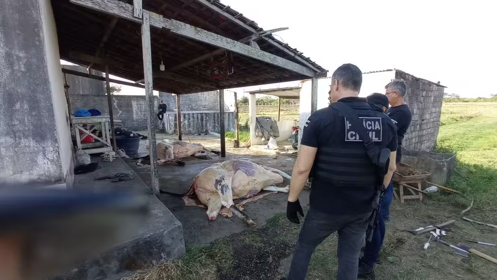 Polícia desativa abate clandestino em Propriá e prende suspeitos de venda de carne imprópria Polícia desativa abate clandestino em Propriá e prende suspeitos de venda de carne imprópria