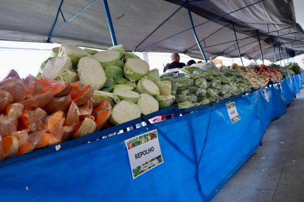 Prefeitura realiza grande entrega de alimentos comprados a agricultores itabaianenses através do PAA Prefeitura realiza grande entrega de alimentos comprados a agricultores itabaianenses através do PAA