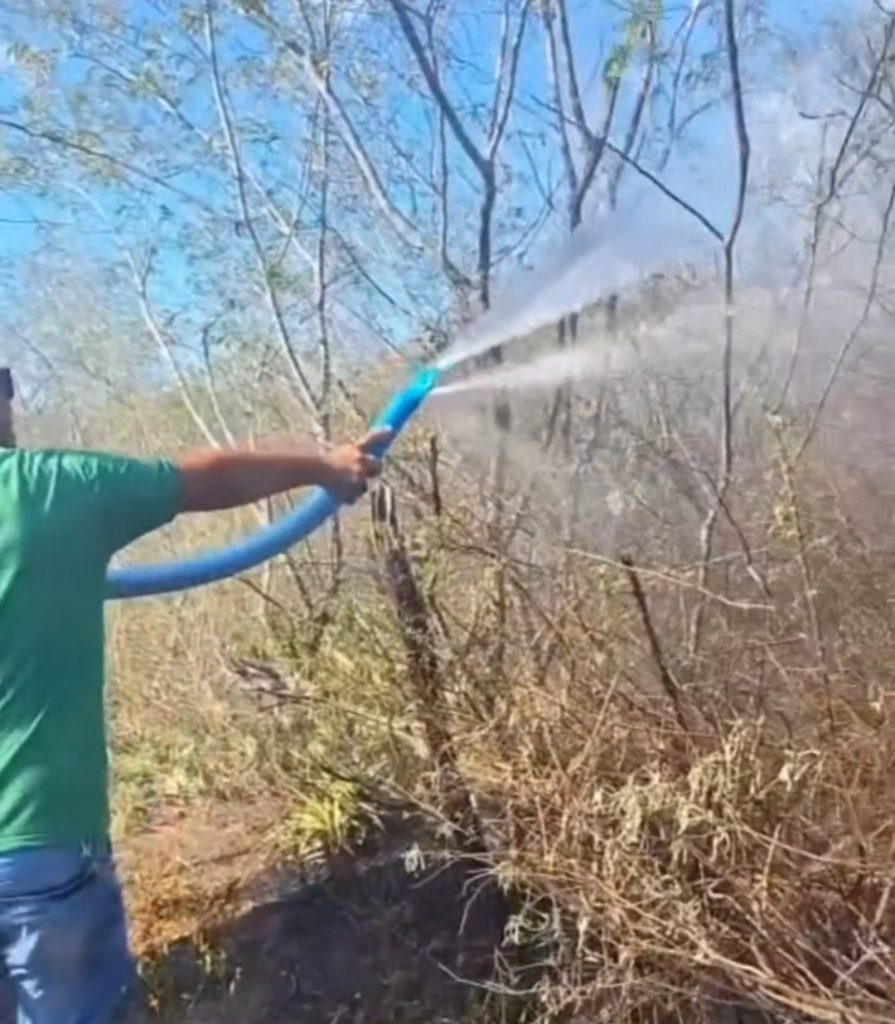 Nesta quinta-feira (30/10) Princípio de Incêndio Assusta Moradores na Serra da Santa Cruz em Jeremoabo