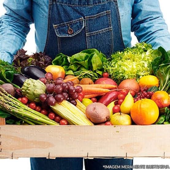 MST realiza distribuição de mais de 300 cestas de alimentos frescos em Jeremoabo MST realiza distribuição de mais de 300 cestas de alimentos frescos em Jeremoabo