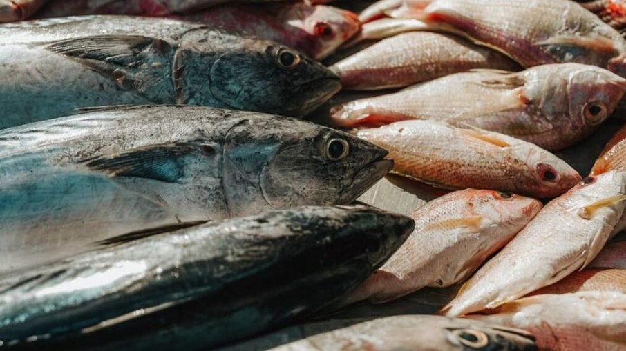 A Prefeitura de Jeremoabo informou que suspendeu a distribuição de peixes da Semana Santa após o surgimento de reclamações A Prefeitura de Jeremoabo informou que suspendeu a distribuição de peixes da Semana Santa após o surgimento de reclamações